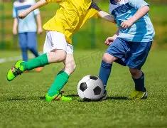 双色球盛宴,期独家复式,预测,浙江体彩,浙江体彩网,浙江体彩网官网,体育彩票,体彩大乐透,竞彩足球,体彩公益