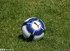 龙谷彩讯,双色球,期必中秘籍,浙江体彩,浙江体彩网,浙江体彩网官网,体育彩票,体彩大乐透,竞彩足球,体彩公益