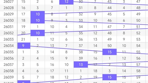 【生肖解码，精准出击】大乐透后区生肖杀码揭秘：26012，不容错过的独门秘籍！