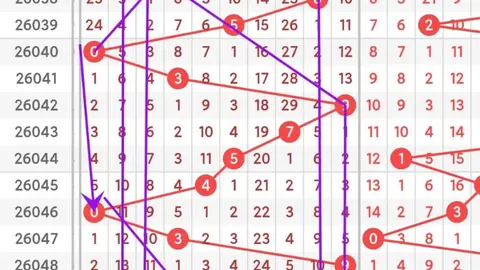 大乐透期号江红雨专家推荐：前区十码质合分析，奖金累计323万