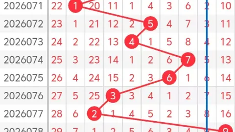 第2026111期 大乐透2026111期专家号码质合分析及