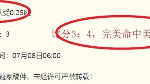 库巴西：伊布眼中的球场巨星，坚如磐石防守与精准进球策划解析